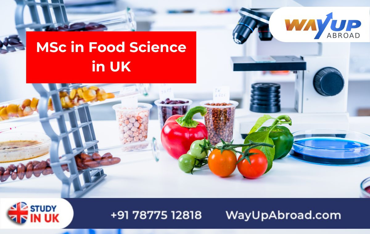 MSc in Food Science in UK 2025: Eligibility, Universities with Fees